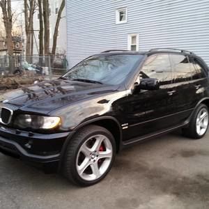 Meet your Posher, Wilbur